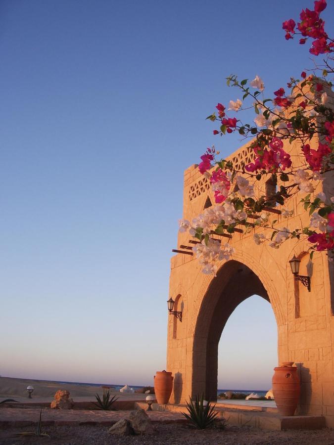 Marsa Shagra Village Abu Dabbab Exterior foto